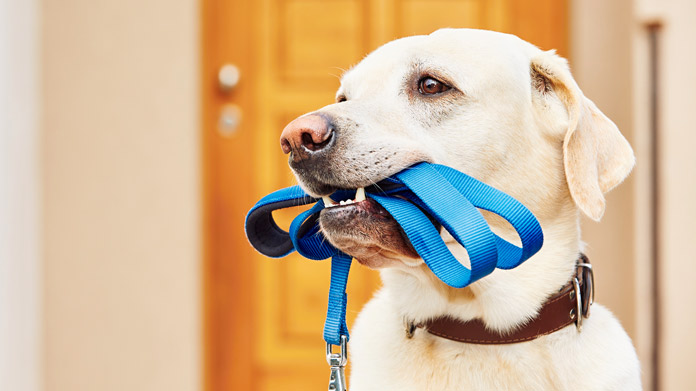 Front Page -Omlet Shop 57