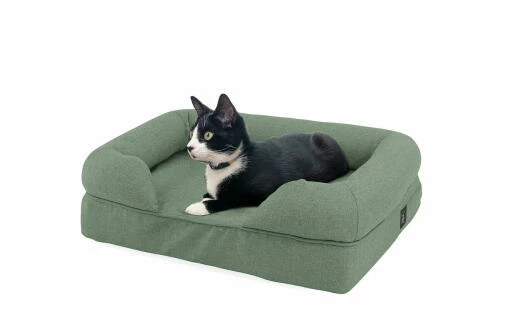 Memory Foam Bolster Cat Bed Small - Green 4 Memory Foam Bolster Cat Bed Small - Green - Image 2