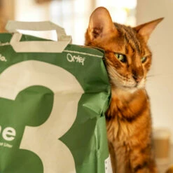 Omlet Cat Litter No. 3 - Pine - 11 Lbs. 13 Omlet Cat Litter No. 3 - Pine - 11 Lbs. -Omlet Shop Cat Litter Pine biodegradable dimension