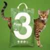Omlet Cat Litter No. 3 - Pine - 11 Lbs. 2 Omlet Cat Litter No. 3 - Pine - 11 Lbs. -Omlet Shop Cat litter pine absorbent omlet