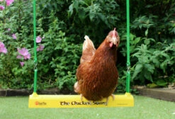 The Chicken Swing 21 The Chicken Swing -Omlet Shop Chicken swing hanging in garden 1