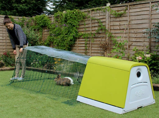 Clear Tarp For Eglu Go - Full Length 7 Clear Tarp For Eglu Go - Full Length - Image 5