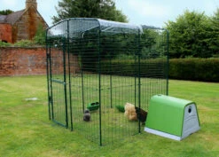 Clear Tarp With Gutter Edge For Walk In Run – 6ft -Omlet Shop Clear cover with gutter edge for walk in run 2m on run in garden