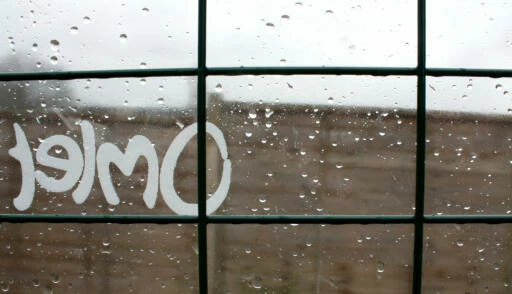 Clear Tarp For Walk In Run - Side 8 Clear Tarp For Walk In Run - Side - Image 6