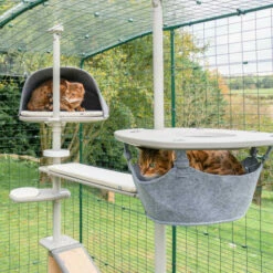 Freestyle Cat Tree - Plastic Hammock Platform With Hammock (includes Bracket) -Omlet Shop DSC4594 FreestyleOutdoorCatTree Folly Wide.2.Cats 2021.11.04