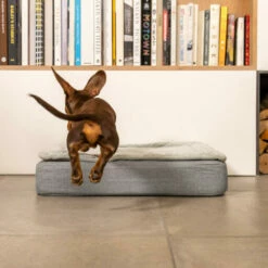 Topology - Quilted Topper - Grey - Medium 19 Topology - Quilted Topper - Grey - Medium -Omlet Shop Dog jumping in his Dog Memory foam bed with Quilted topology topper 1 2