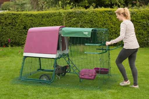 Eglu Run Handles 4 Eglu Run Handles - Image 2