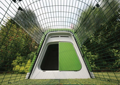 Clear Cover For Eglu Go - 1m 4 Clear Cover For Eglu Go - 1m - Image 2