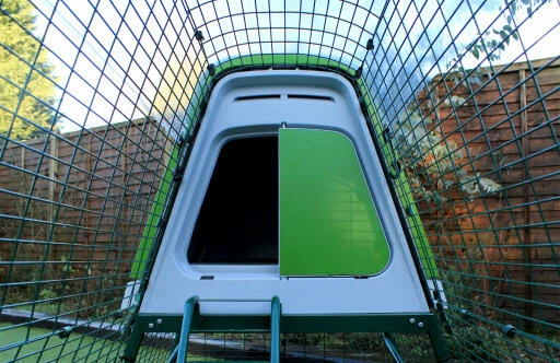 Clear Tarp For Eglu Go UP 5 Clear Tarp For Eglu Go UP - Image 3