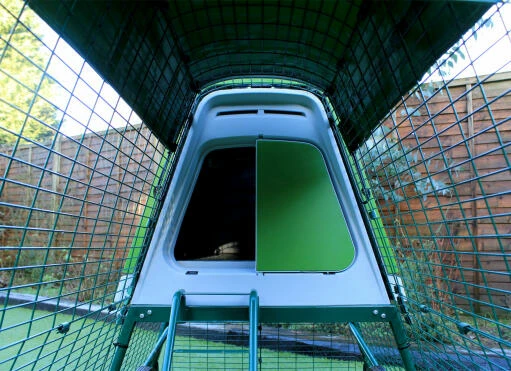 Heavy Duty Tarp For Eglu Go UP 6 Heavy Duty Tarp For Eglu Go UP - Image 4