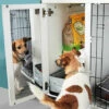 Fido 36 Mirror 1 Fido 36 Mirror -Omlet Shop Fido Studio mirror lets your dogs reflect on the day