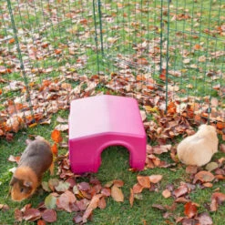 Zippi Guinea Pig Shelter - Purple 18 Zippi Guinea Pig Shelter - Purple -Omlet Shop GP Zippi Shelters P1233307 Square