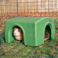 Zippi Guinea Pig Shelter - Green 16 Zippi Guinea Pig Shelter - Green -Omlet Shop GP Zippi Shelters P1233844 Square 1