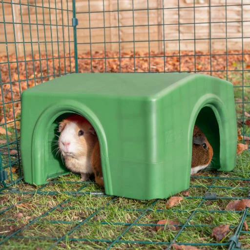 Zippi Guinea Pig Shelter - Green 5 Zippi Guinea Pig Shelter - Green - Image 3