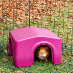 Zippi Guinea Pig Shelter - Green 17 Zippi Guinea Pig Shelter - Green -Omlet Shop GP Zippi Shelters P1233971 Square 11dedd88 1