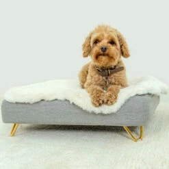 Metal Hairpin Feet For Omlet Dog Beds - Gold - Small - Pack Of 4 11 Metal Hairpin Feet For Omlet Dog Beds - Gold - Small - Pack Of 4 -Omlet Shop Gold hairpin feet for memory foam dog bed 1