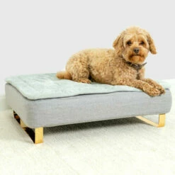 Base With Metal Rail Feet For Omlet Dog Beds - Gold - Medium - Pack Of 2 9 Base With Metal Rail Feet For Omlet Dog Beds - Gold - Medium - Pack Of 2 -Omlet Shop Gold metal rail feet for memory foam dog bed and quilted topper 5