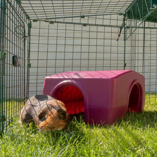 Zippi Guinea Pig Shelter - Purple 11 Zippi Guinea Pig Shelter - Purple - Image 9