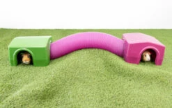 Zippi Guinea Pig Shelter With Play Tunnel Twin Pack - Green And Purple 10 Zippi Guinea Pig Shelter With Play Tunnel Twin Pack - Green And Purple -Omlet Shop Guinea pig shelter zippi tunnel playpen run 2