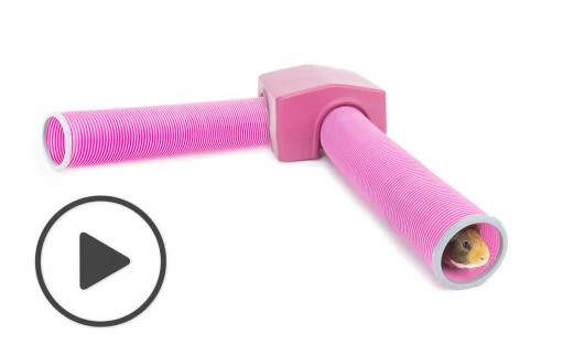 Zippi Guinea Pig Shelter With Play Tunnel Twin Pack - Purple 3 Zippi Guinea Pig Shelter With Play Tunnel Twin Pack - Purple