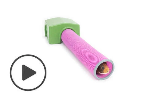 Zippi Guinea Pig Shelter With Play Tunnel - Green And Purple 3 Zippi Guinea Pig Shelter With Play Tunnel - Green And Purple