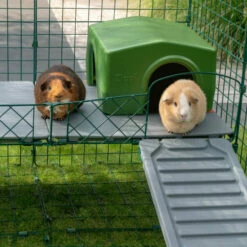 Zippi Guinea Pig Platforms - 3 Panels With Green Shelter And Play Tunnel 11 Zippi Guinea Pig Platforms - 3 Panels With Green Shelter And Play Tunnel -Omlet Shop Guinea pigs will love looking out from the elevated position in their zippi platforms