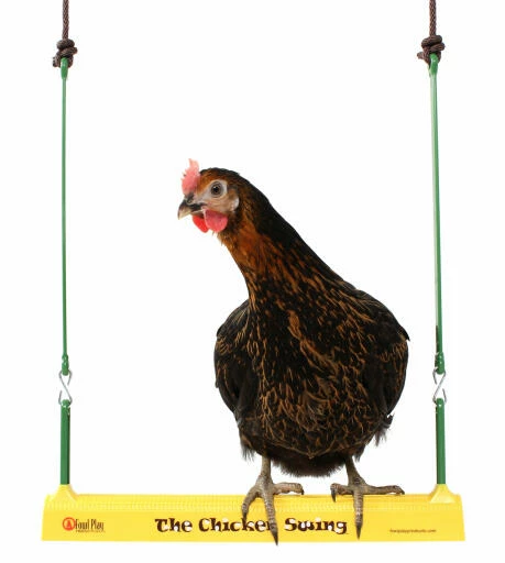The Chicken Swing 4 The Chicken Swing - Image 2