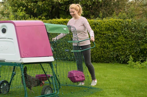 Eglu Run Handles 5 Eglu Run Handles - Image 3