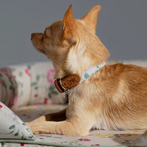 Bolster Dog Bed Cover Only Small - Morning Meadow 5 Bolster Dog Bed Cover Only Small - Morning Meadow - Image 3