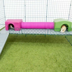 Zippi Guinea Pig Platforms - 3 Panels With Green Shelter And Play Tunnel 9 Zippi Guinea Pig Platforms - 3 Panels With Green Shelter And Play Tunnel -Omlet Shop P1266723 X079 Zippi Platforms Square