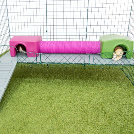 Zippi Guinea Pig Platforms - 3 Panels With Green Shelter And Play Tunnel 5 Zippi Guinea Pig Platforms - 3 Panels With Green Shelter And Play Tunnel - Image 3