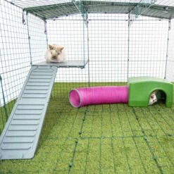 Zippi Rabbit Shelter With Play Tunnel - Purple 12 Zippi Rabbit Shelter With Play Tunnel - Purple -Omlet Shop P1277216 X079 Zippi Platforms Square 4a8a2b63 1