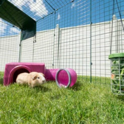 Zippi Guinea Pig Shelter - Green 25 Zippi Guinea Pig Shelter - Green -Omlet Shop P1288863 X079 Zippi Shelter Square 1