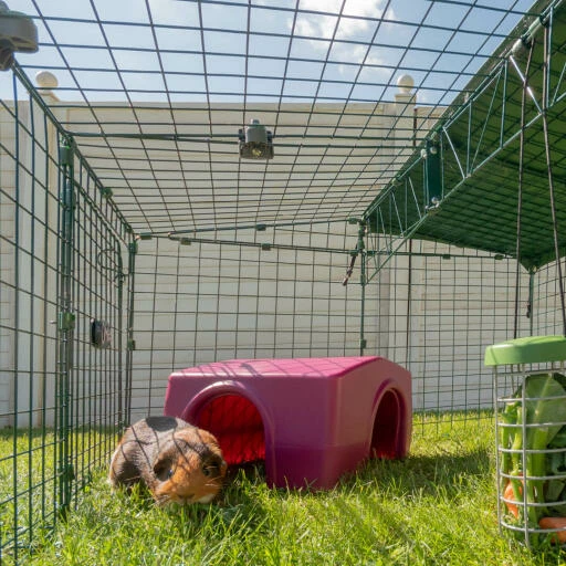 Zippi Guinea Pig Shelter - Green 13 Zippi Guinea Pig Shelter - Green - Image 11