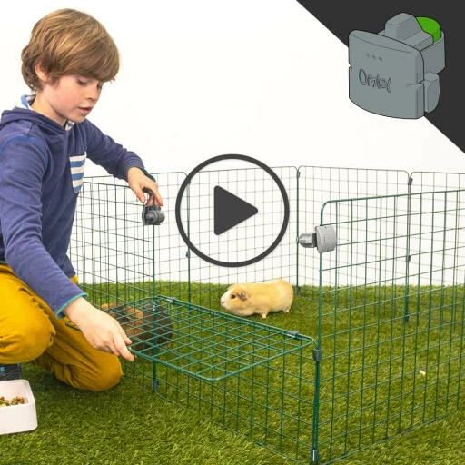 Easy Access Locks For Zippi Runs - Pack Of 6 2 Easy Access Locks For Zippi Runs - Pack Of 6