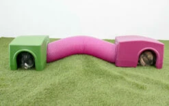 Zippi Rabbit Shelter With Play Tunnel - Green And Purple -Omlet Shop Rabbit Zippi Shelter Tunnel run playpen