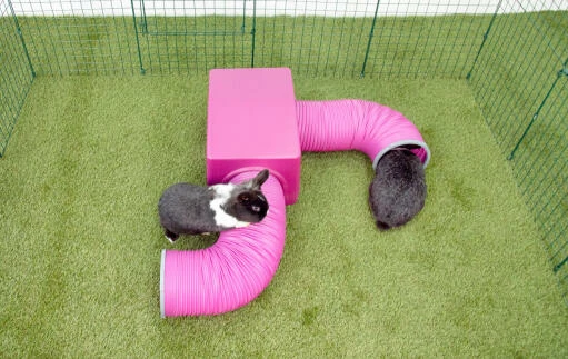 Zippi Rabbit Shelter With Play Tunnel Twin Pack - Purple 5 Zippi Rabbit Shelter With Play Tunnel Twin Pack - Purple - Image 3