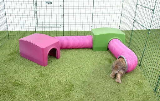 Zippi Rabbit Shelter With Play Tunnel Twin Pack - Green And Purple 4 Zippi Rabbit Shelter With Play Tunnel Twin Pack - Green And Purple - Image 2