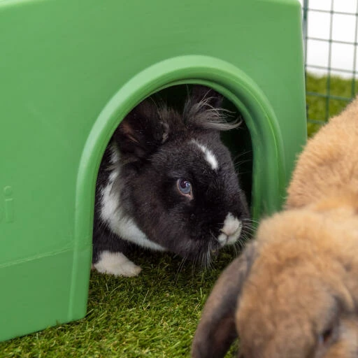 Zippi Rabbit Shelter - Green 11 Zippi Rabbit Shelter - Green - Image 9