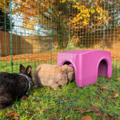 Zippi Rabbit Shelter - Purple 17 Zippi Rabbit Shelter - Purple -Omlet Shop Rabbit Zippi Shelters Purple P1233366 Square
