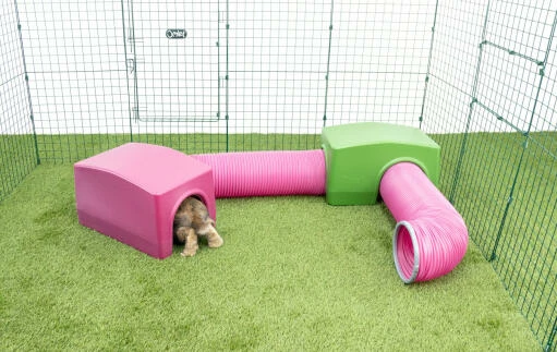 Zippi Rabbit Shelter With Play Tunnel - Purple 7 Zippi Rabbit Shelter With Play Tunnel - Purple - Image 5