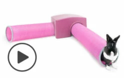 Zippi Rabbit Shelter With Play Tunnel Twin Pack - Purple