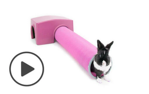 Zippi Rabbit Shelter With Play Tunnel - Purple 3 Zippi Rabbit Shelter With Play Tunnel - Purple