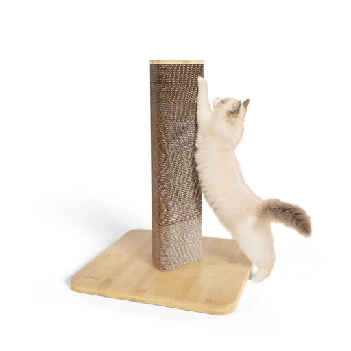 Refillable Cardboard Cat Scratching Post - Short 3 Refillable Cardboard Cat Scratching Post - Short