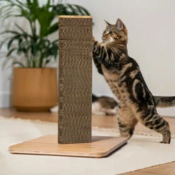 Stak Cat Scratching Post With Refill Pack - Short 23 Stak Cat Scratching Post With Refill Pack - Short -Omlet Shop Stak short with tabby cat square 1