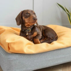 Topology - Beanbag Topper - Yellow - Large 18 Topology - Beanbag Topper - Yellow - Large -Omlet Shop Topology beanbag memory Foam dog Bed with Toppers 1