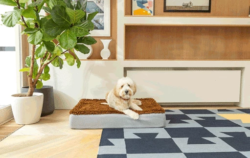 Topology - Memory Foam Dog Bed - Grey - Large 5 Topology - Memory Foam Dog Bed - Grey - Large - Image 3