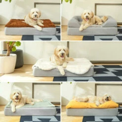 Topology - Beanbag Topper - Yellow - Medium -Omlet Shop Topology goldendoodle lying in memory Foam dog Bed with Toppers omlet 6
