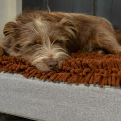 Topology - Microfibre Topper - Brown - Large -Omlet Shop Topology microfiber memory Foam dog Bed with Toppers 1