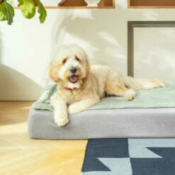 Topology - Quilted Topper - Grey - Large 13 Topology - Quilted Topper - Grey - Large -Omlet Shop Topology quilted memory Foam luxury dog Bed with toppers 1